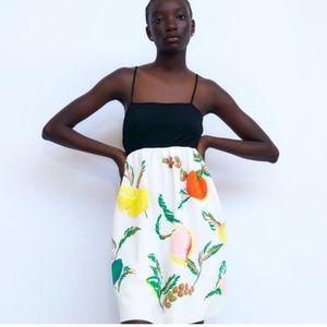 EUC.‎ Zara rubberized fruit dress.  Size Medium.
